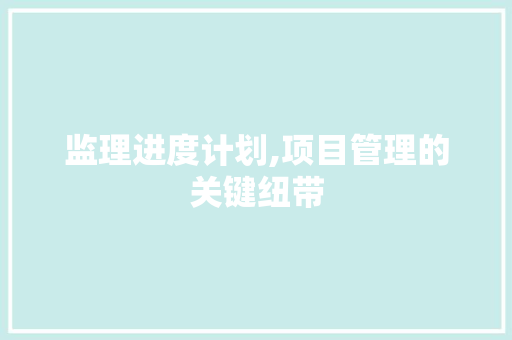 监理进度计划,项目管理的关键纽带