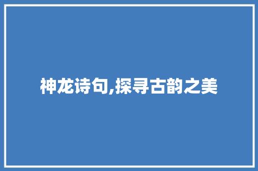 神龙诗句,探寻古韵之美