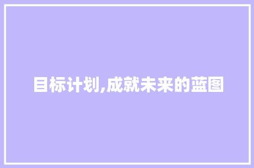 目标计划,成就未来的蓝图