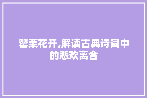 罂粟花开,解读古典诗词中的悲欢离合