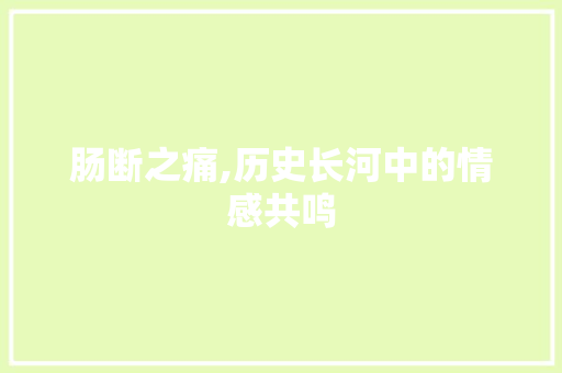 肠断之痛,历史长河中的情感共鸣