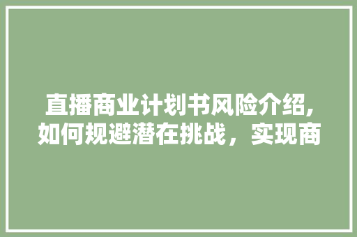 直播商业计划书风险介绍,如何规避潜在挑战，实现商业成功