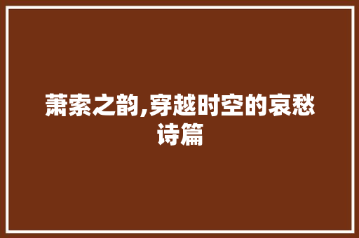 萧索之韵,穿越时空的哀愁诗篇