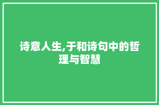诗意人生,于和诗句中的哲理与智慧