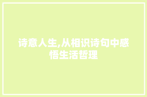 诗意人生,从相识诗句中感悟生活哲理