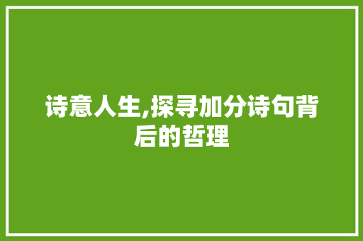 诗意人生,探寻加分诗句背后的哲理