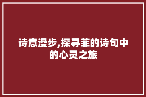 诗意漫步,探寻菲的诗句中的心灵之旅