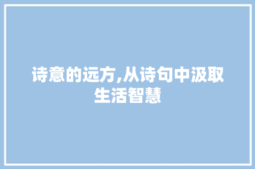 诗意的远方,从诗句中汲取生活智慧