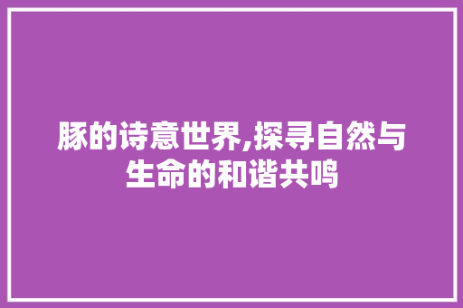 豚的诗意世界,探寻自然与生命的和谐共鸣