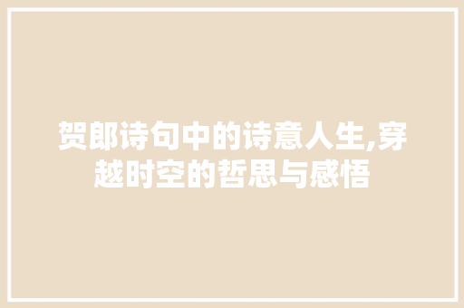 贺郎诗句中的诗意人生,穿越时空的哲思与感悟