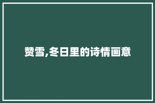 赞雪,冬日里的诗情画意