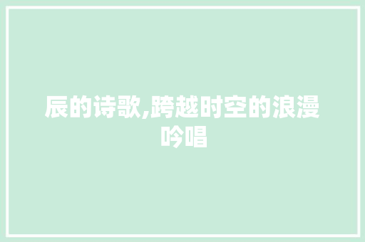 辰的诗歌,跨越时空的浪漫吟唱
