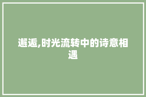 邂逅,时光流转中的诗意相遇