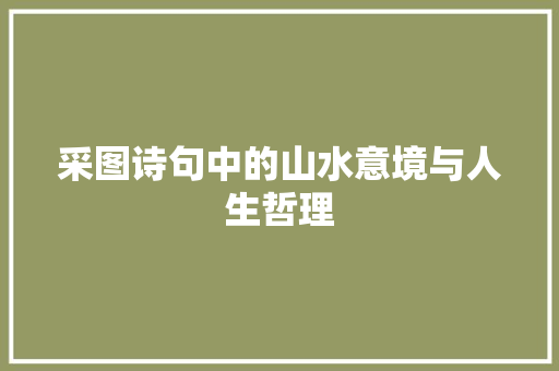 采图诗句中的山水意境与人生哲理