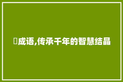 鎩成语,传承千年的智慧结晶