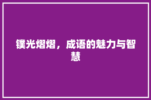 镤光熠熠，成语的魅力与智慧