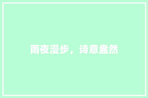 雨夜漫步，诗意盎然