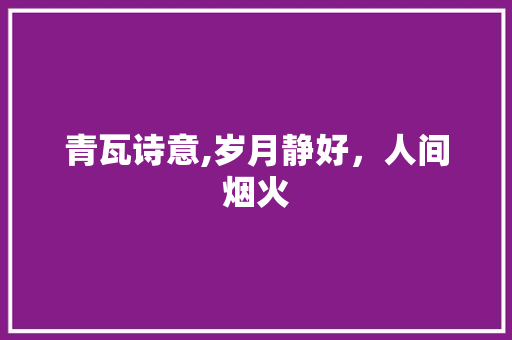青瓦诗意,岁月静好，人间烟火