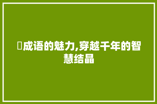 韰成语的魅力,穿越千年的智慧结晶