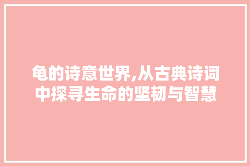 龟的诗意世界,从古典诗词中探寻生命的坚韧与智慧 短语