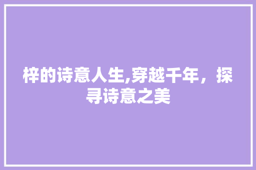 梓的诗意人生,穿越千年，探寻诗意之美