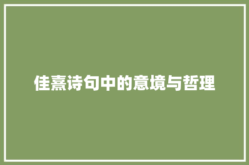 佳熹诗句中的意境与哲理 诗词佳句