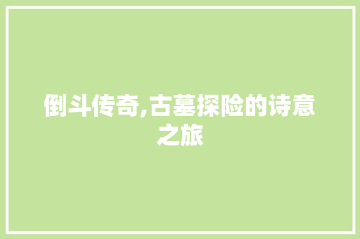 倒斗传奇,古墓探险的诗意之旅