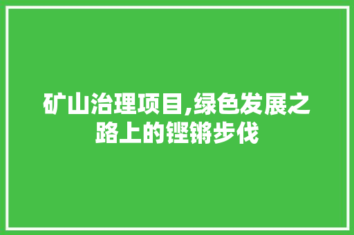 矿山治理项目,绿色发展之路上的铿锵步伐
