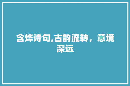 含烨诗句,古韵流转，意境深远 英语单词