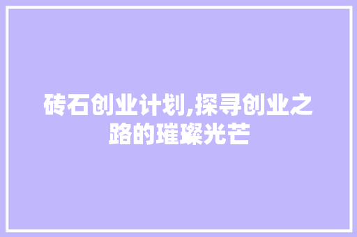 砖石创业计划,探寻创业之路的璀璨光芒