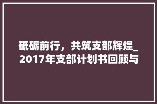 砥砺前行，共筑支部辉煌_2017年支部计划书回顾与展望