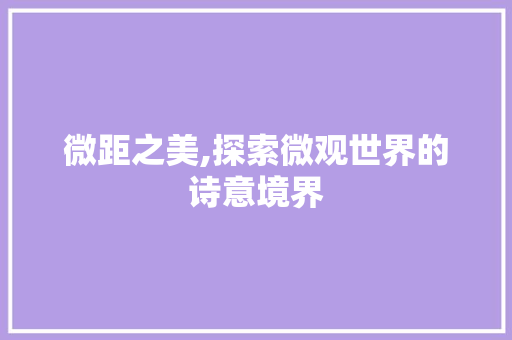 微距之美,探索微观世界的诗意境界