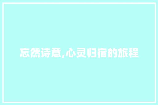 忘然诗意,心灵归宿的旅程