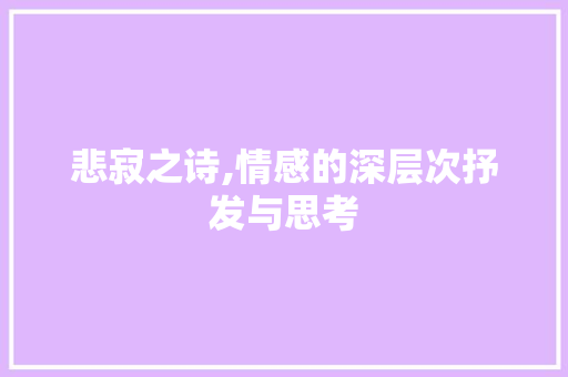 悲寂之诗,情感的深层次抒发与思考
