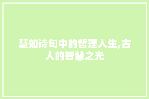 慧如诗句中的哲理人生,古人的智慧之光 反义词汇