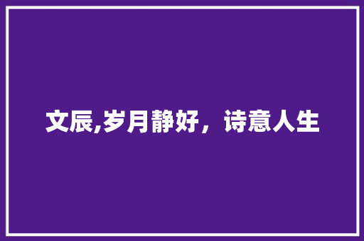 文辰,岁月静好，诗意人生