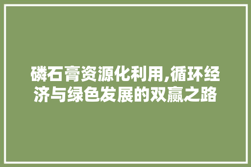 磷石膏资源化利用,循环经济与绿色发展的双赢之路