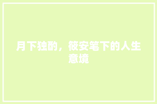 月下独酌，筱安笔下的人生意境