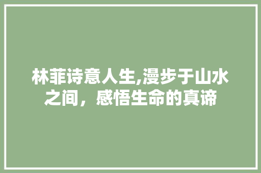 林菲诗意人生,漫步于山水之间，感悟生命的真谛