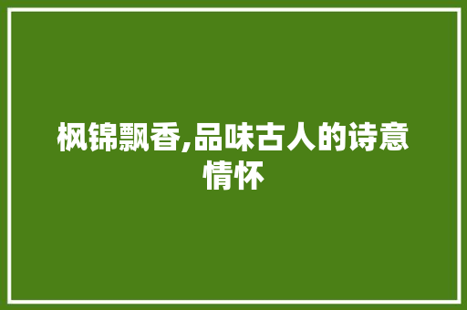 枫锦飘香,品味古人的诗意情怀