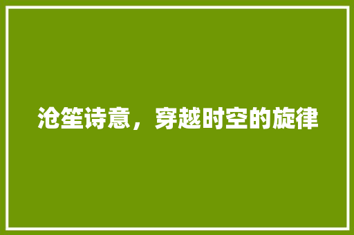 沧笙诗意，穿越时空的旋律