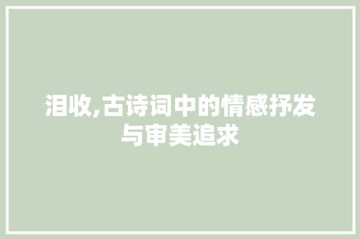 泪收,古诗词中的情感抒发与审美追求 古代典籍