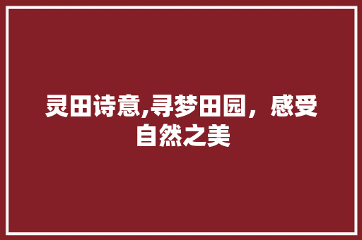 灵田诗意,寻梦田园，感受自然之美