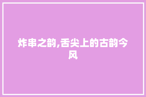炸串之韵,舌尖上的古韵今风