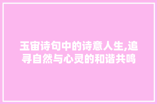 玉宙诗句中的诗意人生,追寻自然与心灵的和谐共鸣