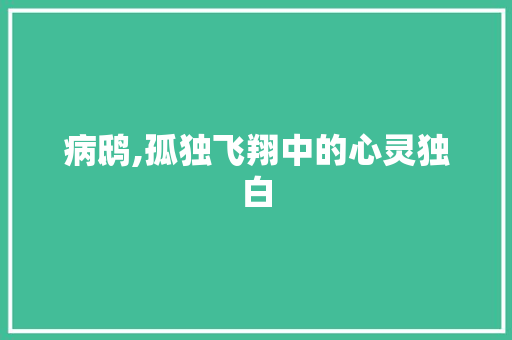 病鸱,孤独飞翔中的心灵独白