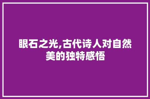 眼石之光,古代诗人对自然美的独特感悟