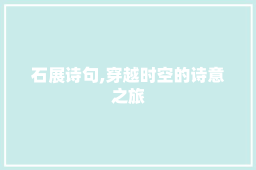 石展诗句,穿越时空的诗意之旅 近义词汇