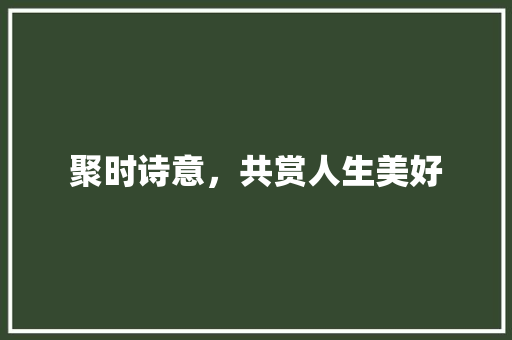 聚时诗意，共赏人生美好