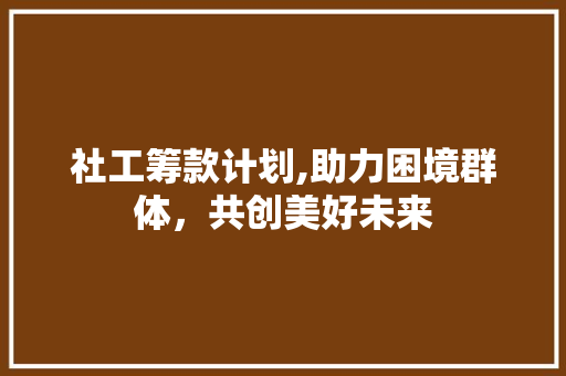 社工筹款计划,助力困境群体，共创美好未来
